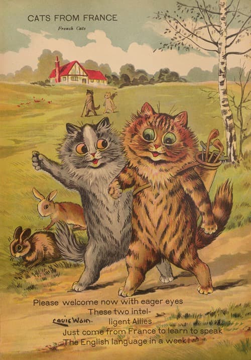 Cats from France