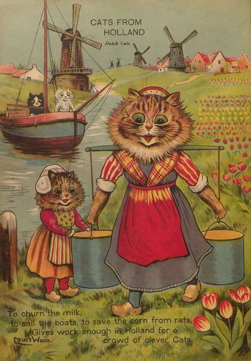 Cats from Holland