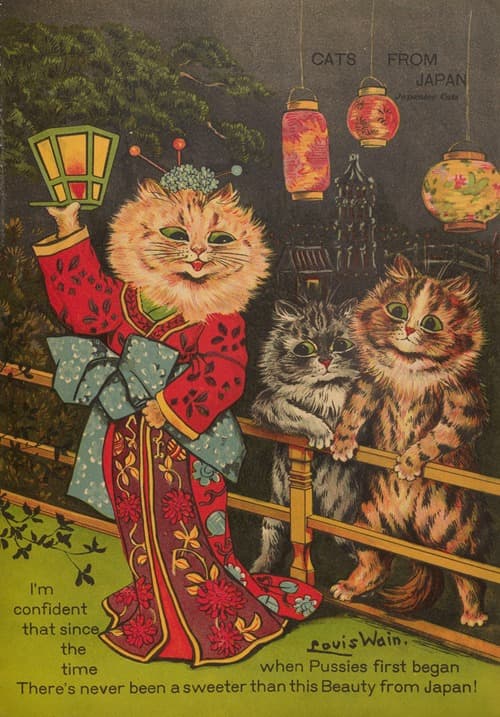 Cats from Japan