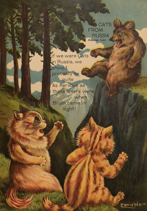 Cats from Russia