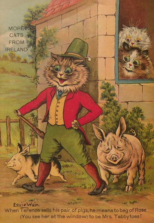 More cats from Ireland