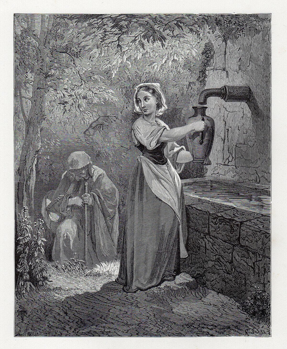 The Fairy