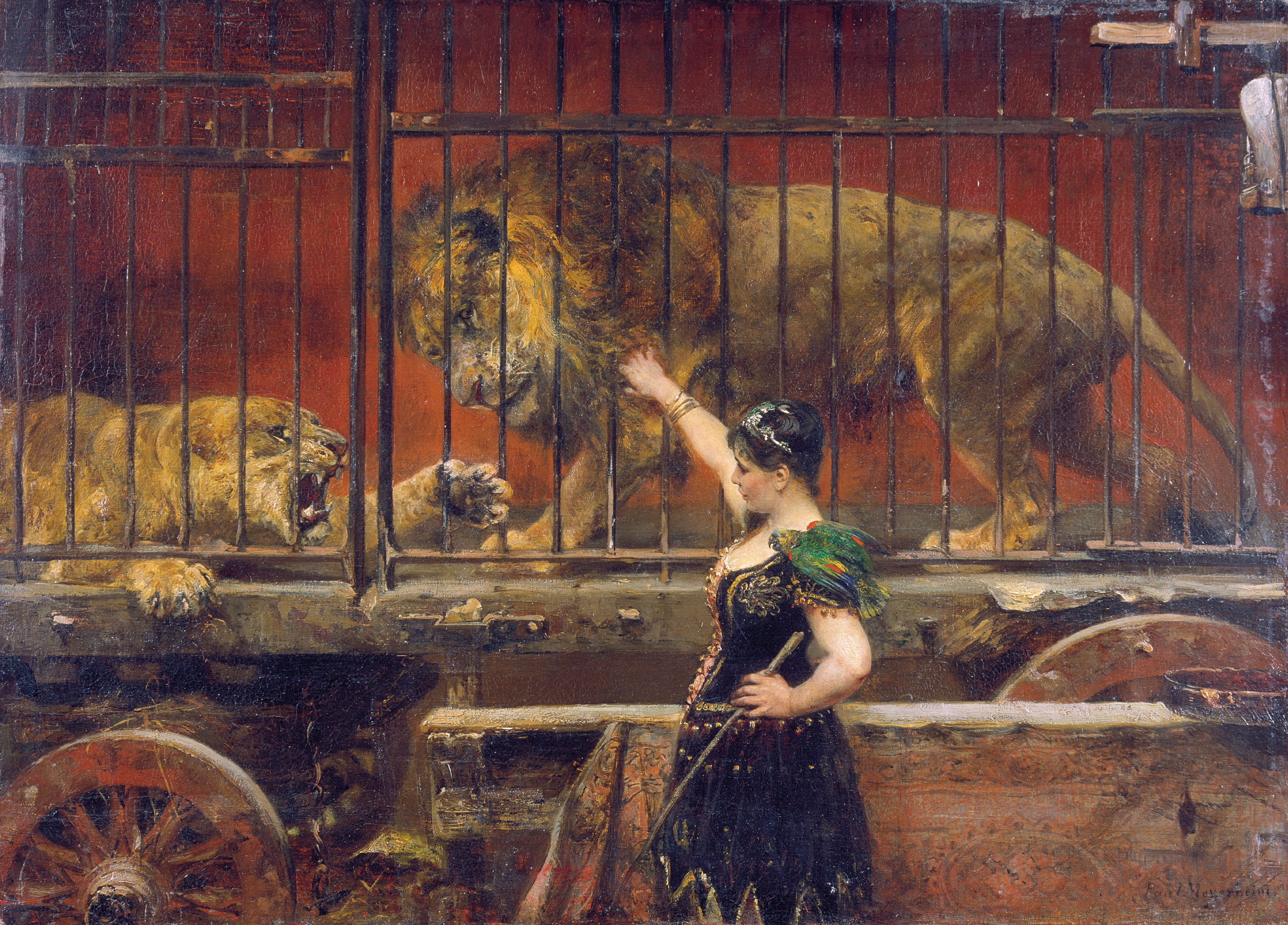 The Jealous Lioness