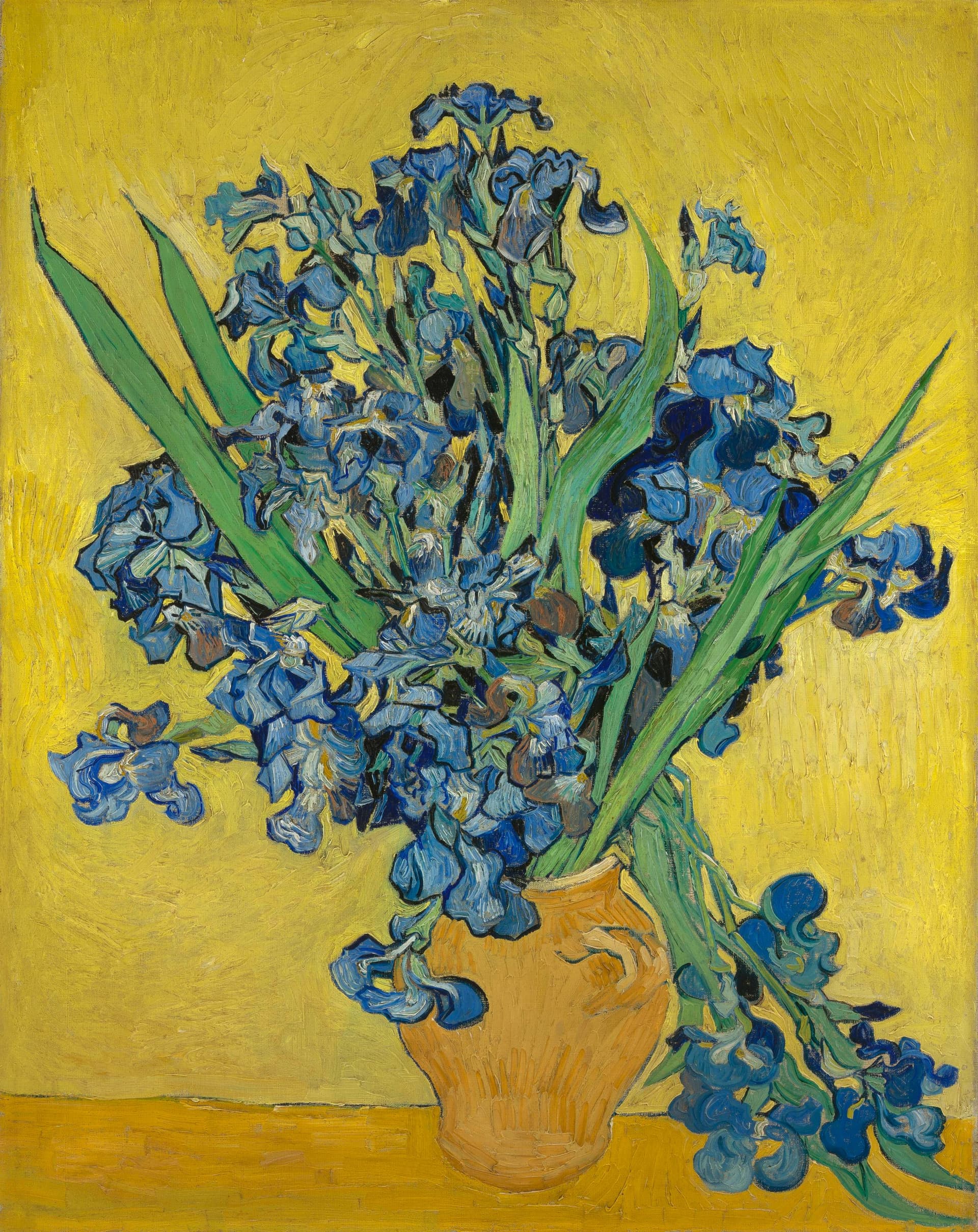 Irises 3