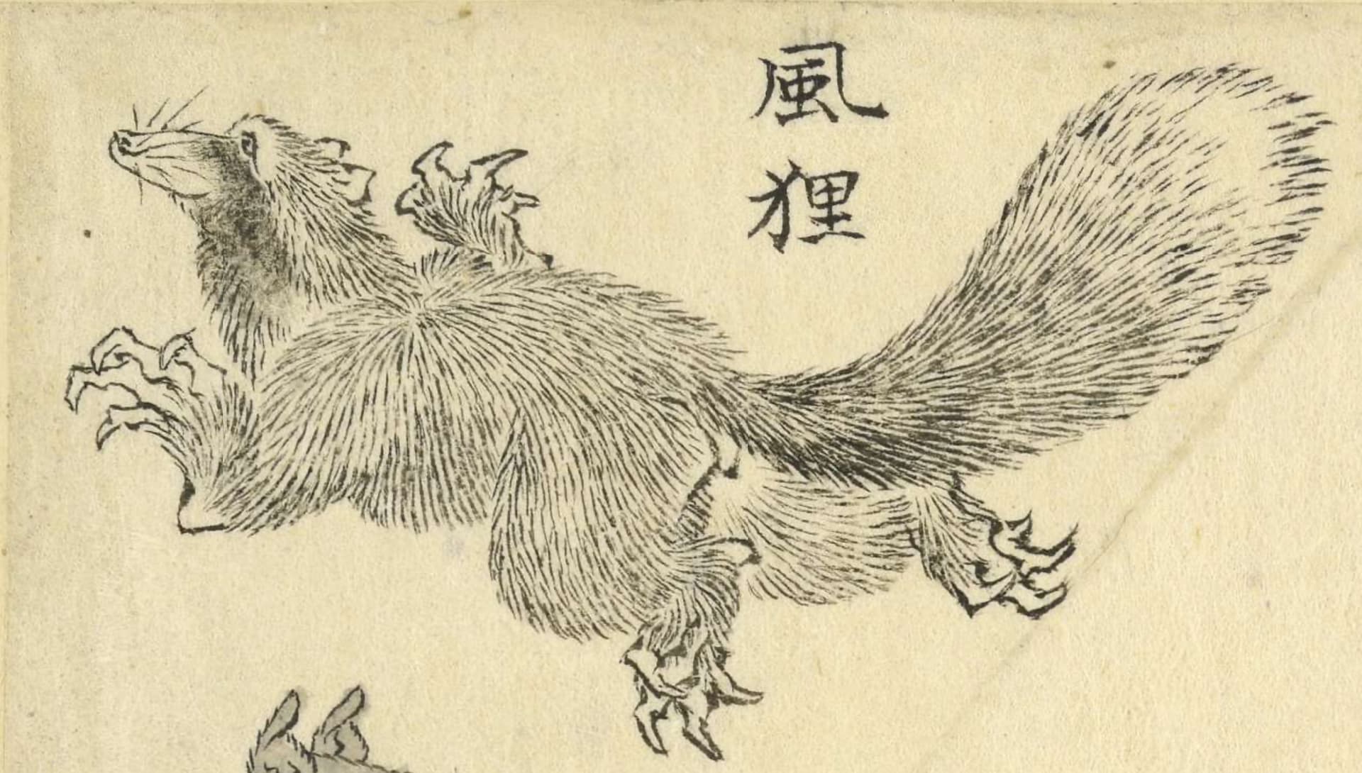 A kazetanuki