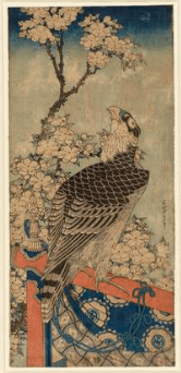 Hawk on ornamental perch reaching towards cherry blossom